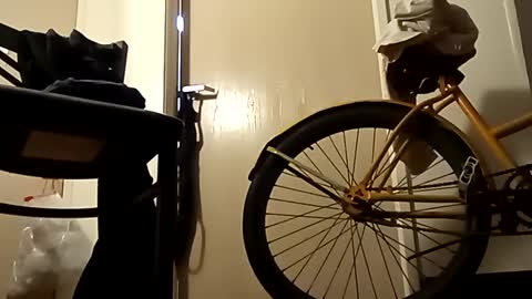 SnowBunny online show from 01.02.25