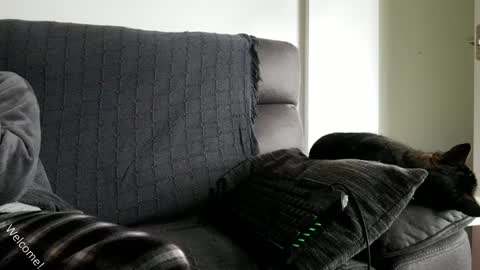 Snapshot of saulcontigo chatting on 01.28.25 saulcontigo online show from 01.28.25