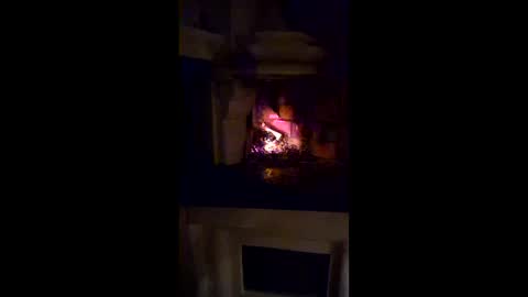 savlan online show from 03.28.26