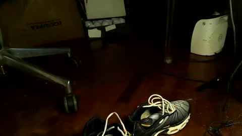 Sbamx online show from 12.11.24