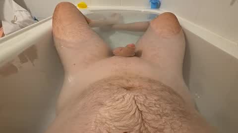 sc1981 online show from 03.21.26