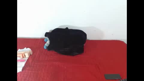 Scarletfox Fox online show from 02.12.26