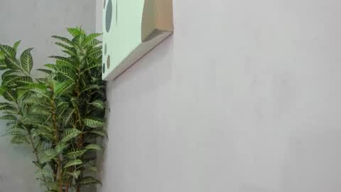 Scarlett 3 online show from 12.02.25