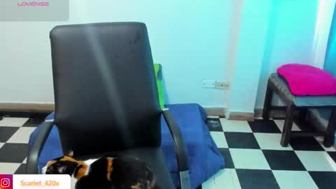 Scarlett online show from 03.19.26