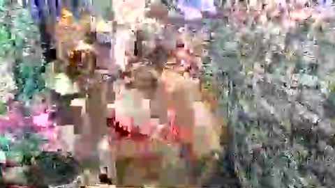 Snapshot of scarlettee_mistress chatting on 04.27.26 SCAS ANGEL S online show from 04.27.26