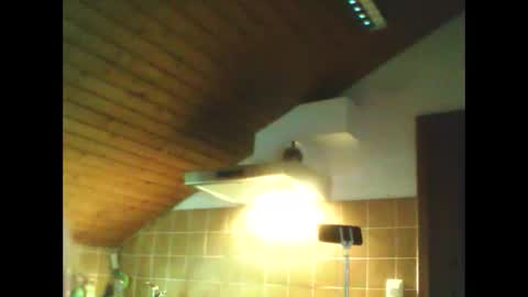 schnibschnab online show from 02.26.26