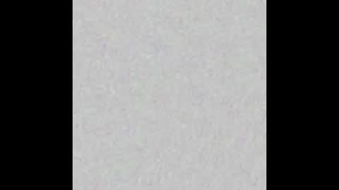 Scolw  online show from 12.17.25