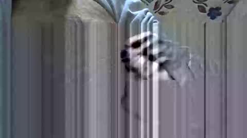 scorpion35hb online show from 01.18.26