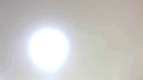 Damar online show from 01.16.26