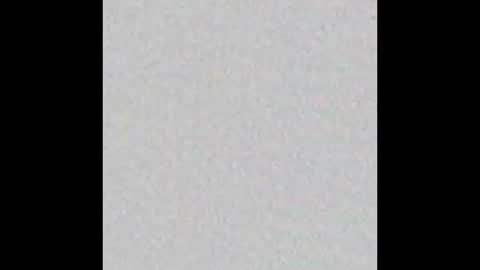 danny online show from 01.04.25