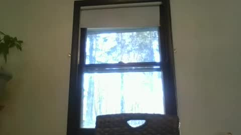 scottpbi52 online show from 02.07.25