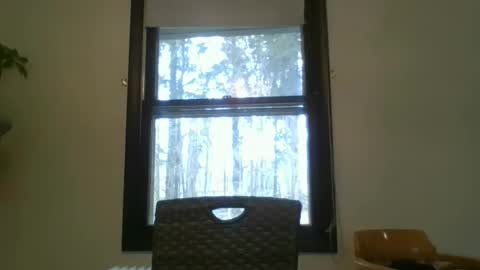 scottpbi52 online show from 03.02.25