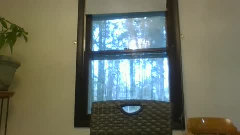 scottpbi52 online show from 03.05.25