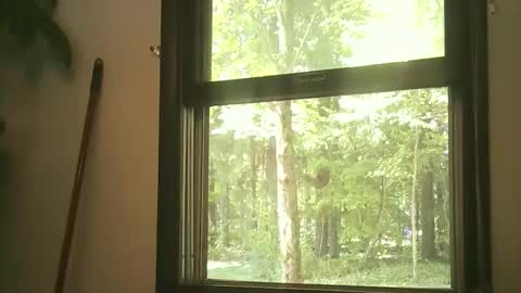 scottpbi52 online show from 09.15.25