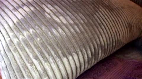 Snapshot of scotty2hotty46_ chatting on 02.21.26 scotty2hotty46_ online show from 02.21.26