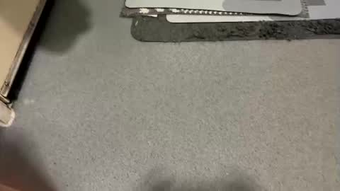 scottyc48 online show from 12.19.25