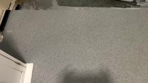 scottyc48 online show from 01.06.26