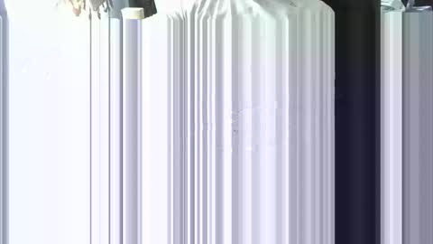 ScSnake online show from 01.06.25