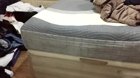 scubi007 online show from 11.02.25