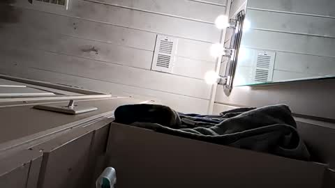 Arin online show from 04.22.26