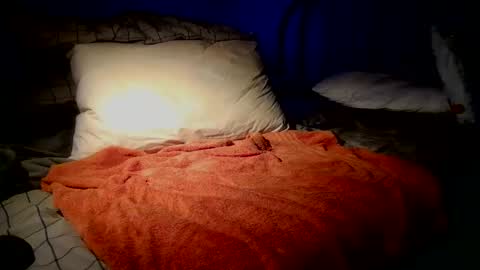 Snapshot of sdseventy chatting on 02.22.26 ObvHype online show from 02.22.26