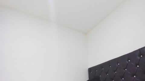 Snapshot of sebastian_dash chatting on 02.26.25 SEBAS online show from 02.26.25