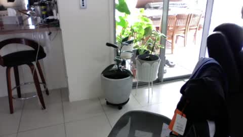 Snapshot of sebastianalll chatting on 12.30.24 sebastianalll online show from 12.30.24