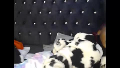 Snapshot of sebatrishaa chatting on 10.23.25 sebatrishaa online show from 10.23.25