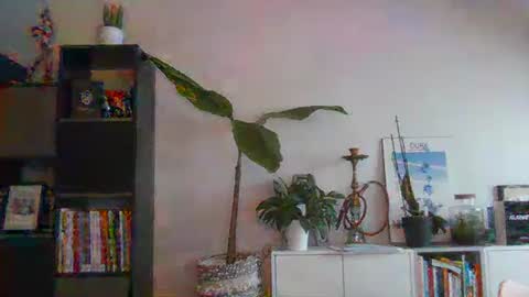 Snapshot of sebix9206 chatting on 02.13.25 sebix9206 online show from 02.13.25