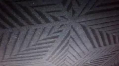 Sunny online show from 03.12.26