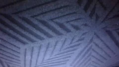 Sunny online show from 03.21.26