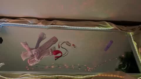 Snapshot of seductive_flower chatting on 01.15.26 Mali online show from 01.15.26