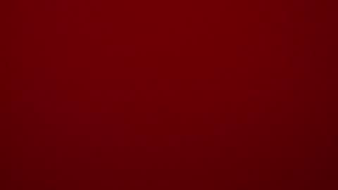 seeus24 online show from 02.15.25