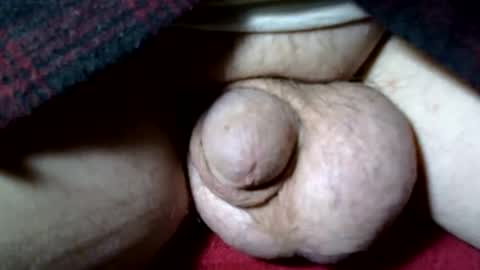 seeus24 online show from 11.10.25