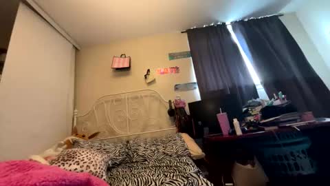 Snapshot of selenaprincess2 chatting on 11.29.25 selenaprincess2 online show from 11.29.25