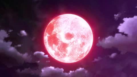 Selene G  online show from 04.08.26