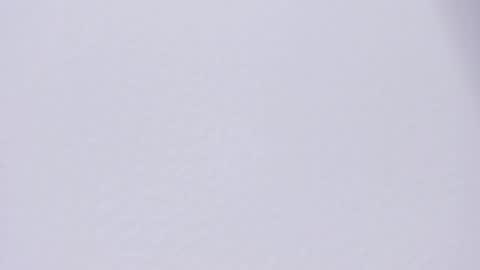 selenne_rouse online show from 04.27.26