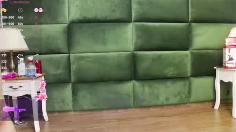 Snapshot of selensummer chatting on 11.11.25 Selen online show from 11.11.25