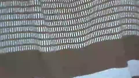 selim selim online show from 11.29.25