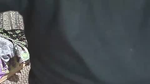 selim selim online show from 04.05.26