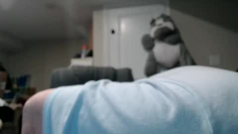 Snapshot of selkie2s chatting on 01.17.26 selkie2s online show from 01.17.26