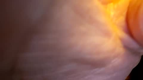 Snapshot of senor49509 chatting on 11.27.25 senor49509 online show from 11.27.25