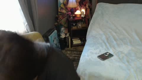 Tara online show from 02.02.25