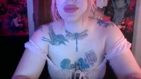 serencigarra online show from 11.14.25