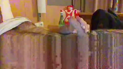 serialfucka69 online show from 10.27.25