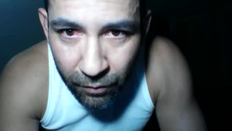 seuus2026 online show from 04.02.26