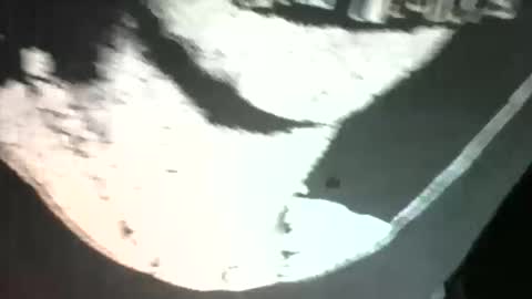 Snapshot of sexdeiv chatting on 03.13.26 sexdeiv online show from 03.13.26