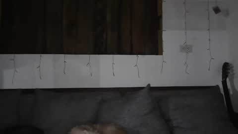 Trixy Rose online show from 01.11.25