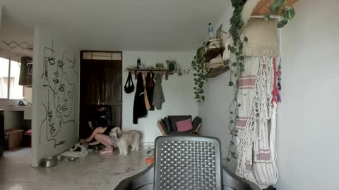         online show from 03.17.26