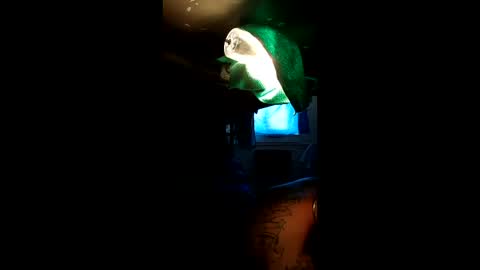 sextyplayboy online show from 04.04.26